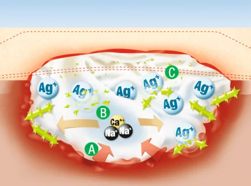 SUPRASORB A+Ag  antimikrobiális kálcium-alginát kötszer ezüsttel 10 x 10 cm
