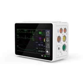 Betegellenőrző monitor moduláris elem TS2